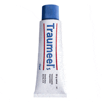 Heel Traumeel S salve - 50 g