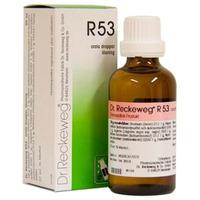 Dr. Reckeweg R 53 - 50 ml
