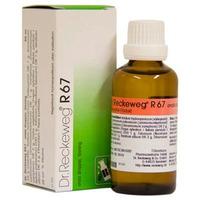 Dr. Reckeweg R 67 - 50 ml