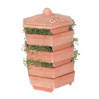 Geo Bavicchi Terracotta Sprouter - 1 stk