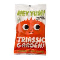 HEY YUM Triassic Garden - 100 g