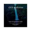 Arvin Larsen PNN Meditation CD 