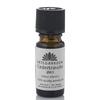 Urtegaarden Økologisk Cedertræolie - 10 ml