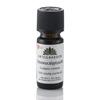 Urtegaarden Økologisk Citroneucalyptusolie - 10 ml