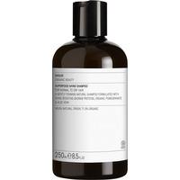 Evolve Superfood Shine Shampoo - 250 ml.