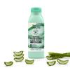 Garnier Fructis Hair Food Aloe Vera Shampoo - 350 ml.