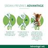 Advantage pour-on Vet kat, 4-8 kg