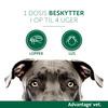 Advantage pour-on Vet hund, 4-10 kg