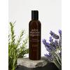 John Masters Shampoo for Normal Hair - 236 ml