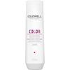 Goldwell Dualsenses Color Shampoo - 250 ml.