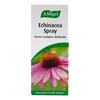 A. Vogel Echinacea Spray - 30 ml