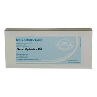 Allergica Nervi spinalis D6, ampul - 10 x 1 ml.