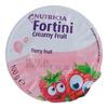 Fortini Creamy Fruit - Flere smagsvarianter - 4 x 100 g. - Bær frugt