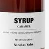 Nicolas Vahé Syrup, Caramel - 25 cl.