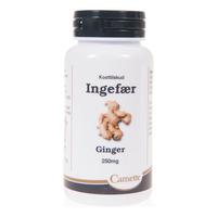 Camette Ingefær - 140 tabl.