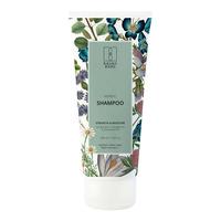 Raunsborg Shampoo til alle hårtyper - 200 ml.