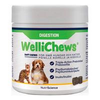 Swedencare Wellichews Digestion tyggetabeletter til hund og kat, S - 120 stk.