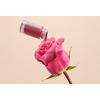 Youngblood EverGlow Plumping Lip Oil Wild Rose - 4,75 ml.